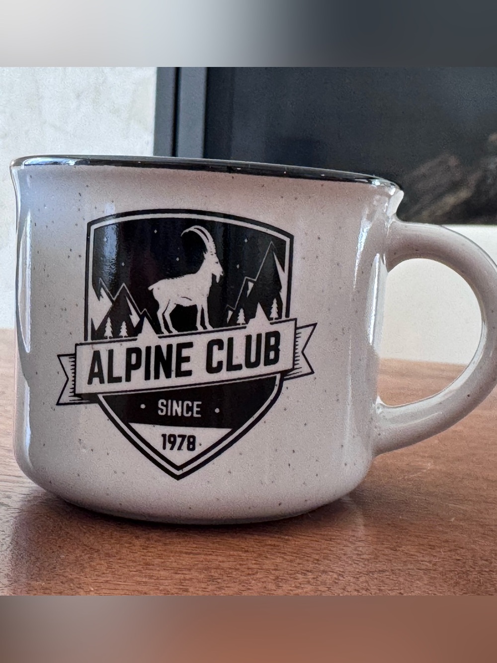 Enamel Mug
